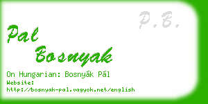 pal bosnyak business card
