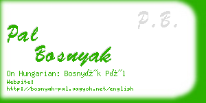 pal bosnyak business card